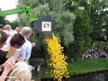 Lübecker Entenrennen