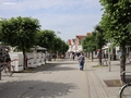 Vorderreihe