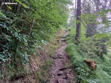 Wanderweg