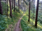 Wanderweg