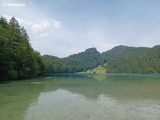 Alatsee