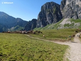 Die blockieren den Wanderweg