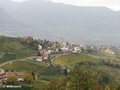 Blick vom Schloss auf Dorf Tirol